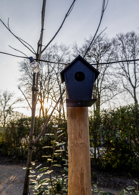 cosi-tiny-house-epe-veluwe-vogels-natuur